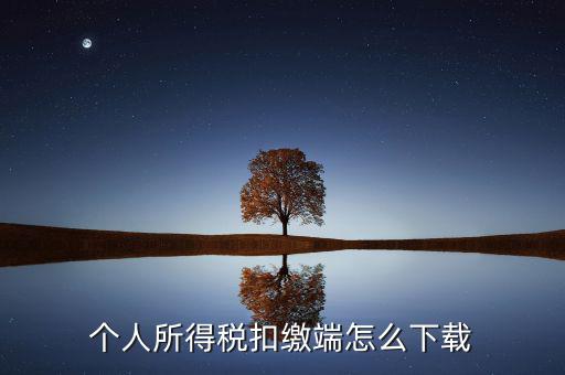 如何下載自然人扣繳客戶端，重慶市自然人電子稅務(wù)局扣繳端怎么下載