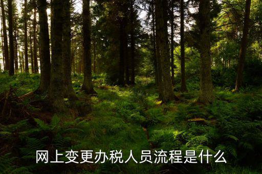 四川如何在網(wǎng)上變更辦稅人員，網(wǎng)上變更辦稅人員流程是什么