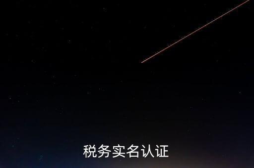 湖北省公司辦稅人員如何實(shí)名，稅務(wù)實(shí)名制信息采集