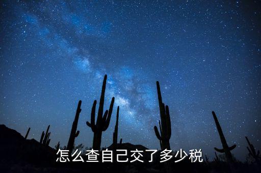 如何查詢交稅，如何查詢企業(yè)繳稅情況
