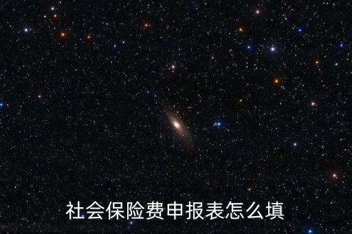 稅務系統(tǒng)社保費申報表如何填報，社會保險費申報表怎么填