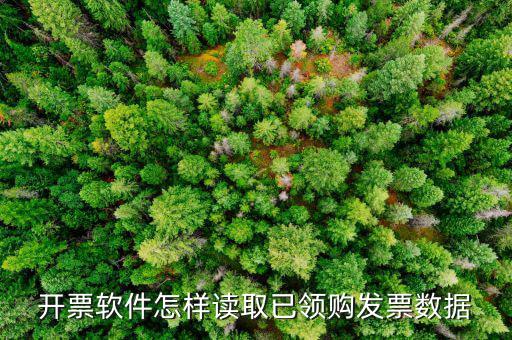 發(fā)票數(shù)據(jù)如何采集，開票軟件怎樣讀取已領(lǐng)購發(fā)票數(shù)據(jù)