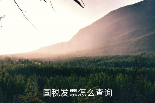 河北省的發(fā)票如何查詢(xún)，我的發(fā)票在河北地稅網(wǎng)上可以查到信息都沒(méi)有問(wèn)題但是河北地稅
