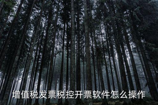 百望開票軟件如何開票，百望開票系統(tǒng)發(fā)票抬頭有符號怎么打