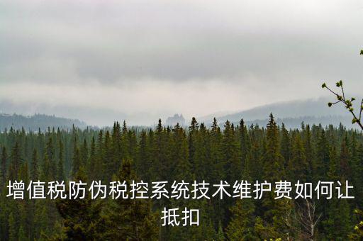 稅控維護費如何抵稅，稅控維護費抵扣問題