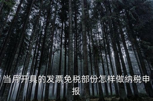 免稅和納稅如何申報(bào)，當(dāng)月開具的發(fā)票免稅部份怎樣做納稅申報(bào)
