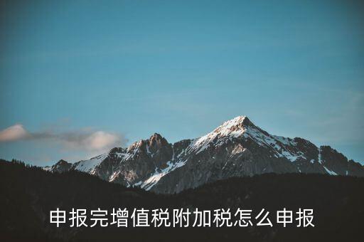 附加稅在國(guó)家稅務(wù)局網(wǎng)如何申報(bào)表，網(wǎng)上申報(bào)城建稅教育附加稅怎么填