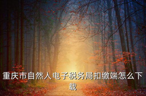 重慶市自然人電子稅務局扣繳端怎么下載