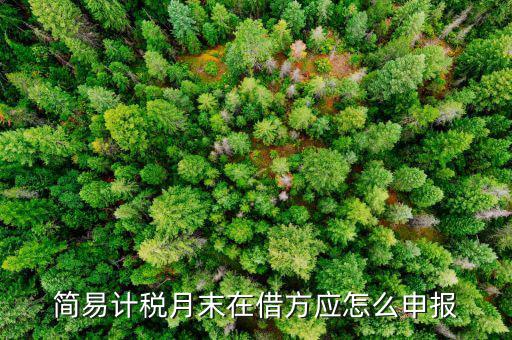 環(huán)保稅如何按簡易申報(bào)，環(huán)保稅怎么申報(bào)