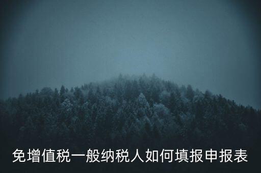 免稅如何填寫(xiě)申報(bào)表，免稅企業(yè)如何填報(bào)增值稅納稅申報(bào)表