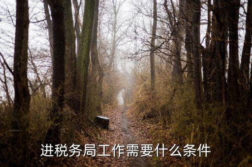 進稅務局工作需要什么條件
