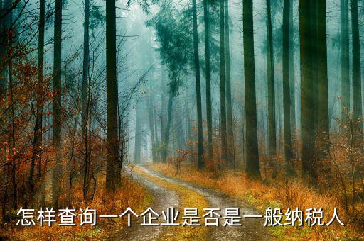 遼寧如何查一般納稅人，怎樣查詢一個企業(yè)是否是一般納稅人