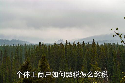 福建企業(yè)如何繳稅，企業(yè)所得稅是多少