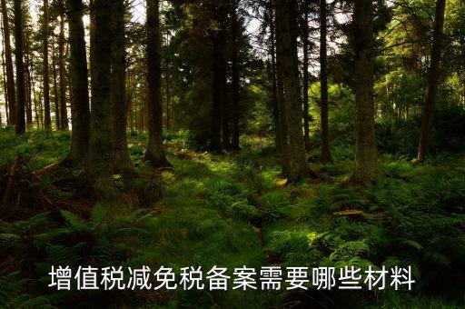 如何辦理納稅人減免稅備案登記，增值稅減免稅備案需要哪些材料