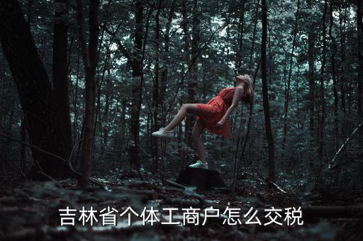 吉林個人所得稅如何申報，個人所得稅申報問題吉林省
