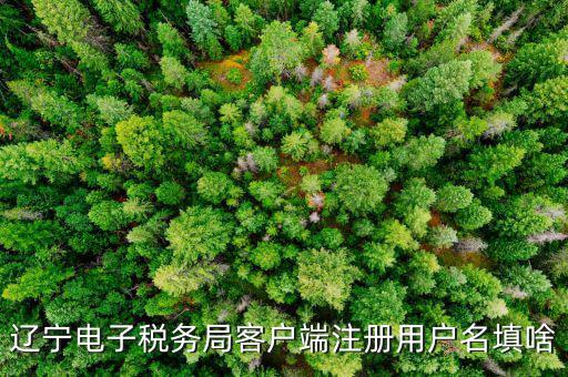 如何注冊社保電子稅務(wù)局賬號，遼寧電子稅務(wù)局客戶端注冊用戶名填啥