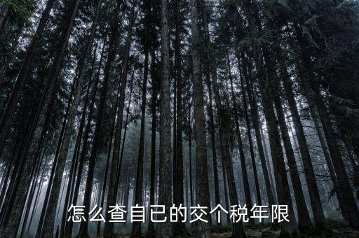 如何查詢納稅期限，怎么查自已的交個稅年限