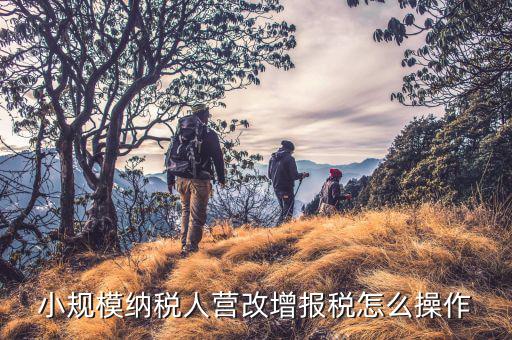 營改增后小規(guī)模企業(yè)如何報(bào)稅，營改增以后該如何報(bào)稅急