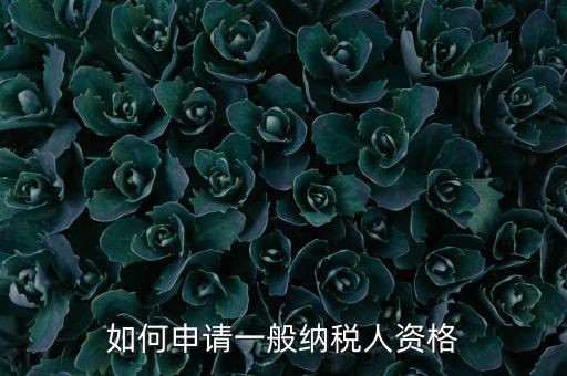 一般納稅人如何申請B級，一般納稅人B類企業(yè)如何申報企業(yè)所得稅