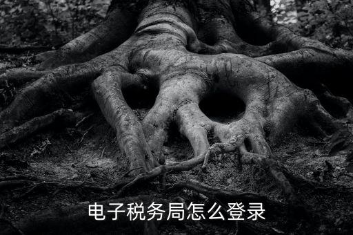 如何登錄稅務(wù)局官網(wǎng)，電子稅務(wù)局怎么登錄