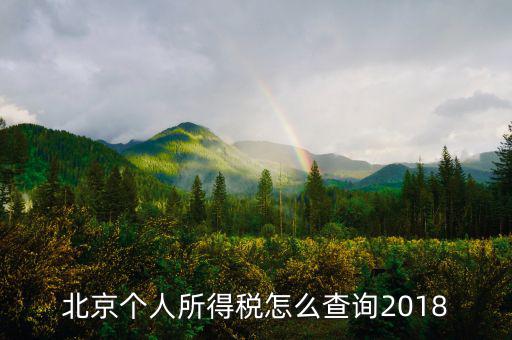 北京個(gè)人所得稅怎么查詢(xún)2018