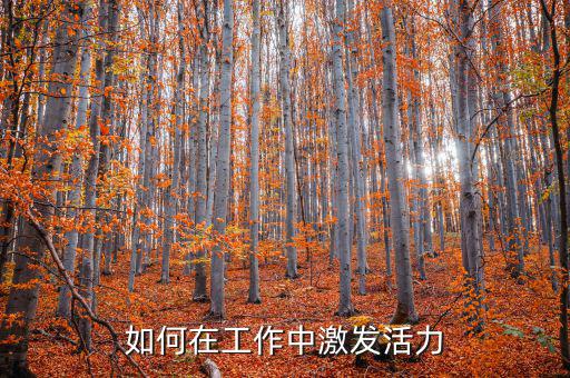 如何激發(fā)稅務干部的活力，在稅收工作中如何激發(fā)下屬的潛力