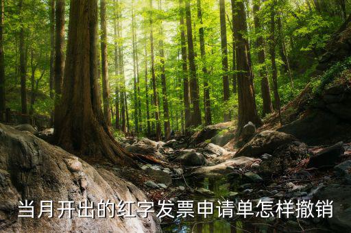 如何撤銷紅字發(fā)票申請書，紅字申請單如何作廢