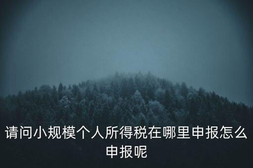 如何申報(bào)自然人兩處所得，請(qǐng)問小規(guī)模個(gè)人所得稅在哪里申報(bào)怎么申報(bào)呢