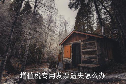丟失專用發(fā)票如何，丟失空白增值稅專用發(fā)票如何處理