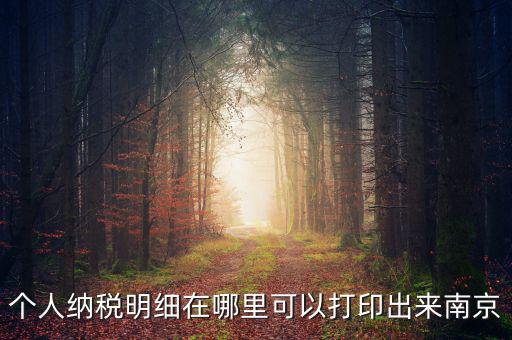 如何打印個稅明細，個人納稅明細在哪里可以打印出來南京