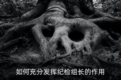 稅務(wù)局如何貫徹落實紀(jì)檢組長的講話，如何充分發(fā)揮紀(jì)檢組長的作用