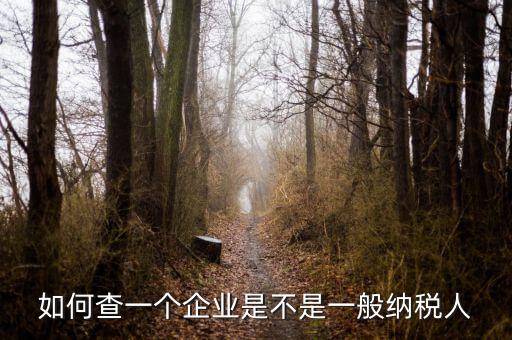 如何查是否一般納稅人，怎么確認(rèn)一家單位是不是一般納稅人