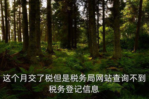 這個(gè)月交了稅但是稅務(wù)局網(wǎng)站查詢(xún)不到稅務(wù)登記信息