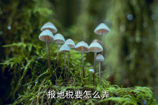 北京地稅存貨損失如何申報，北京的國稅和地稅的年報怎么做具體在網(wǎng)上什么位置以及流程有木