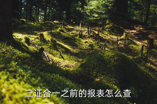 如何查三證合一之前的國(guó)稅數(shù)據(jù)，三證合一之前的報(bào)表怎么查