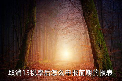 取消13稅率申報(bào)表如何填，13的稅率沒了納稅申報(bào)以后怎么辦