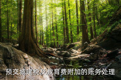 預繳城建稅如何處理，預交城建稅及教育費附加的賬務處理