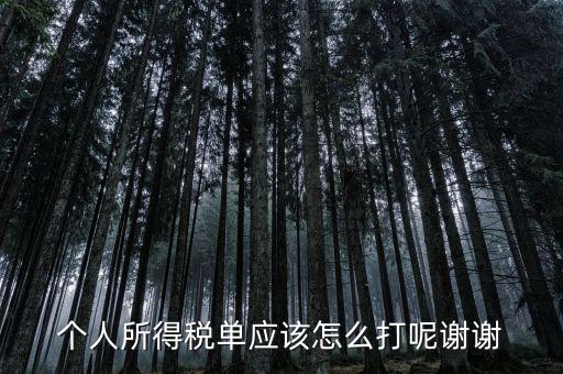 如何打印個(gè)人所得稅清單，請(qǐng)問(wèn)如何打印個(gè)人個(gè)人所得稅繳款單據(jù)