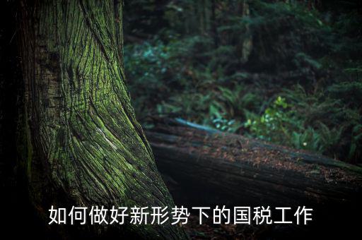 如何貫徹國(guó)稅工作會(huì)議上的講話，如何貫徹落實(shí)國(guó)稅系統(tǒng)化政府采購(gòu)工作規(guī)范