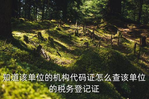 如何查企業(yè)稅務(wù)登記證號，公司的稅務(wù)登記證號怎么查詢
