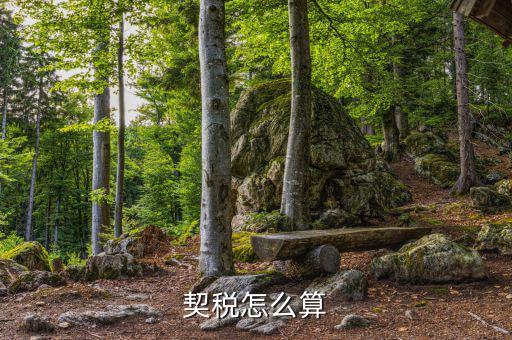 企業(yè)合并契稅如何計算，求高手解答如何計算企業(yè)應(yīng)繳納契稅并進行契稅的會計處理