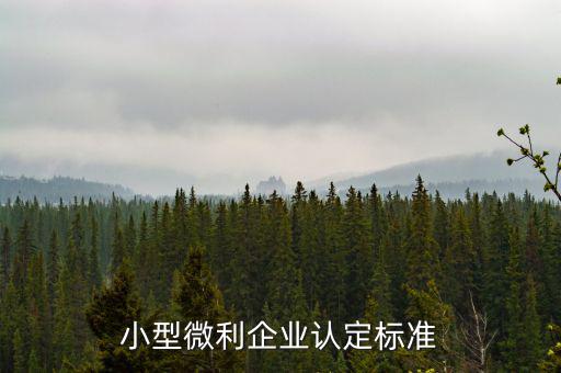 如何確定是小微企業(yè)，小型微利企業(yè)認(rèn)定標(biāo)準(zhǔn)