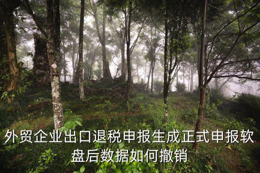 外貿(mào)企業(yè)出口退稅申報(bào)生成正式申報(bào)軟盤(pán)后數(shù)據(jù)如何撤銷(xiāo)