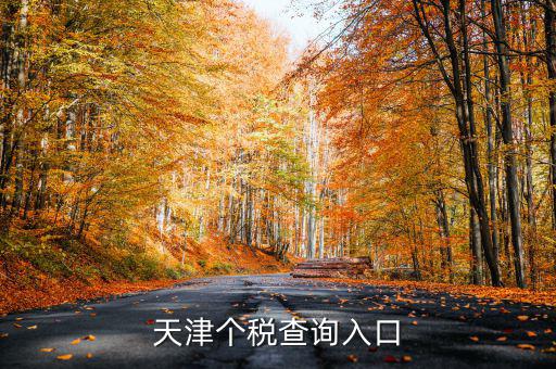天津個稅如何查詢密碼，天津個稅查詢?nèi)肟?/></a></span><span id=