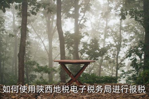 電子稅務(wù)局如何操作，如何使用陜西地稅電子稅務(wù)局進行報稅