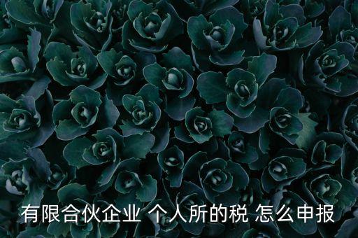 有限合伙企業(yè) 個人所的稅 怎么申報