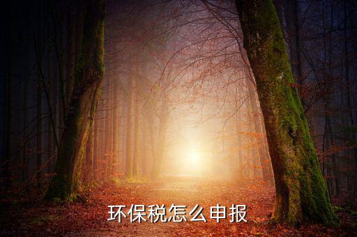 環(huán)境保護(hù)稅b類(lèi)如何申報(bào)表，環(huán)保稅申報(bào)步驟是什么