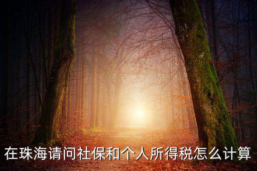 在珠海請問社保和個人所得稅怎么計(jì)算