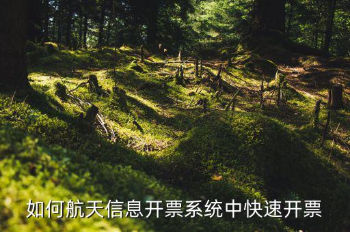 航天信息如何開票，怎么在航天信息開票軟件開紅字發(fā)票