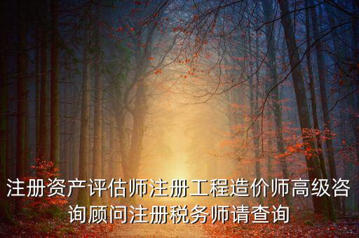 如何查詢稅務師信息，注冊稅務師報名時的信息哪里能查到